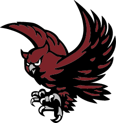 Timberlane Owls Youth Travel Basketball League